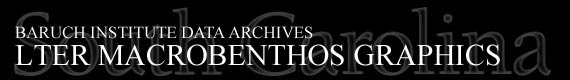 Baruch Institute Data Archives | LTER Macrobenthos Graphics