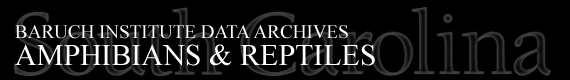 Baruch Institute Data Archives | Amphibians & Reptiles