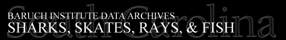 Baruch Institute Data Archives | Sharks Skates Rays & Fish