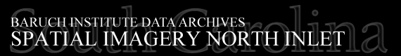 Baruch Institute Data Archives | Spatial Imagery North Inlet