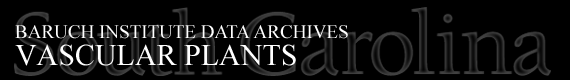 Baruch Institute Data Archives | Vascular Plants