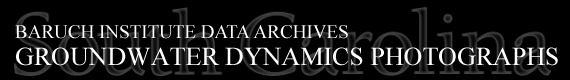 Baruch Institute Data Archives | Groundwater Dynamics Project Photographs