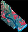 ace_basin.jpg (68525 bytes)